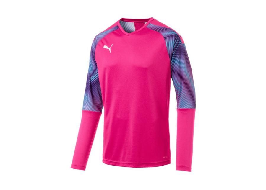 Väravavahisärk meestele Puma CUP GK Jersey LS M 703771-41 suurendatud