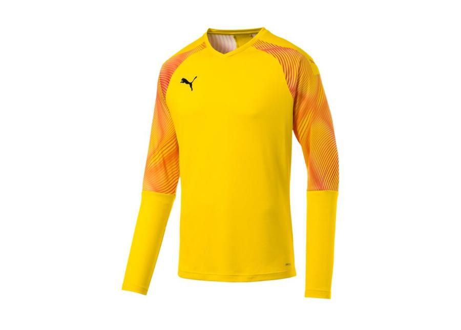 Väravavahisärk meestele Puma CUP GK Jersey LS M 703771-45 suurendatud
