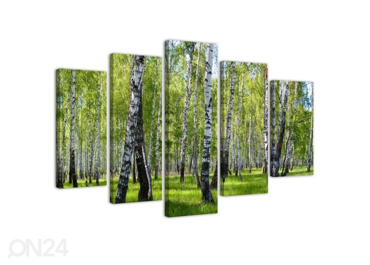 Viieosaline seinapilt Birch trees 150x100 cm suurendatud