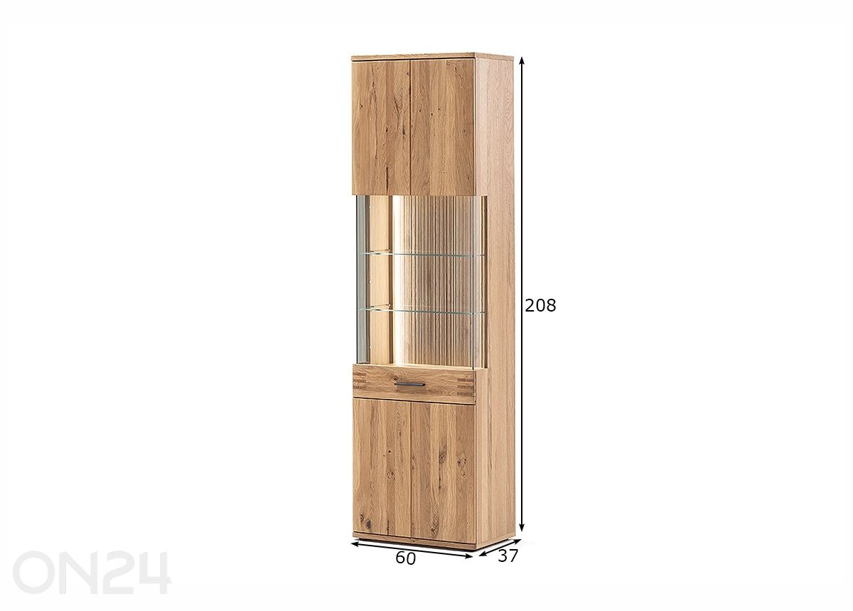 Vitriinkapp Salvador suurendatud mõõdud