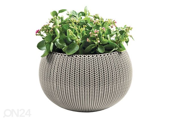 Ampel Keter Cozy M