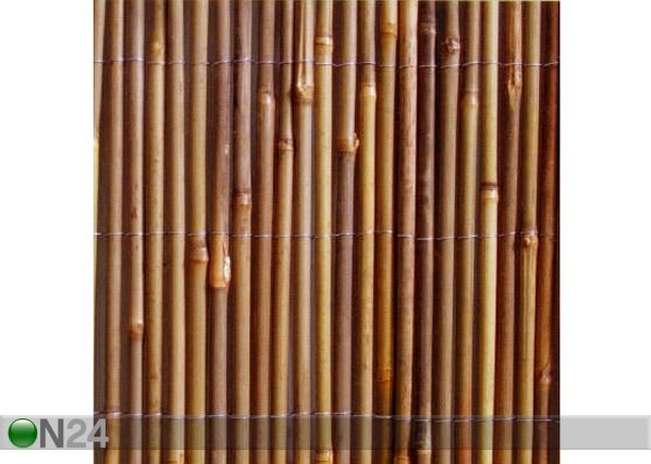 Bambusaed rullis 1x3 m