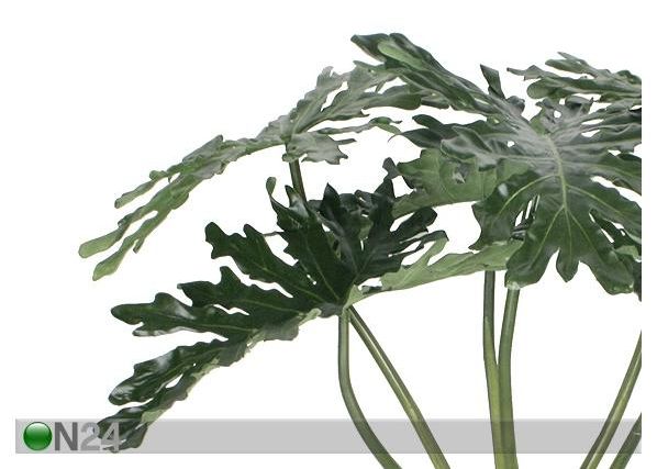 Filodendron 140 cm