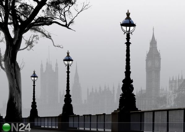 Fliis-fototapeet Magical London 360x270 cm