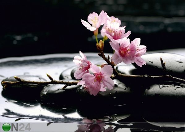 Fliis-fototapeet Pink flowers on the stone 360x270 cm