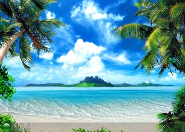 Fliis-fototapeet Tropical beach 360x270 cm