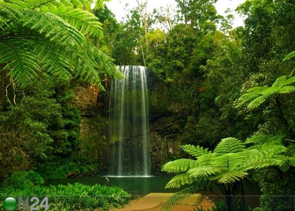 Fliis-fototapeet Waterfall 360x270 cm
