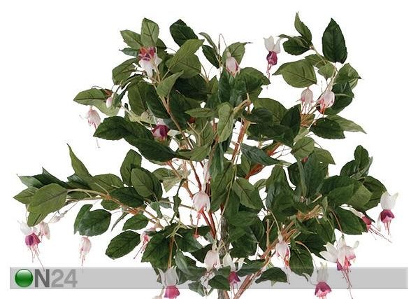 Fuksia 135 cm
