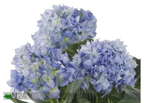 Hortensia 100 cm