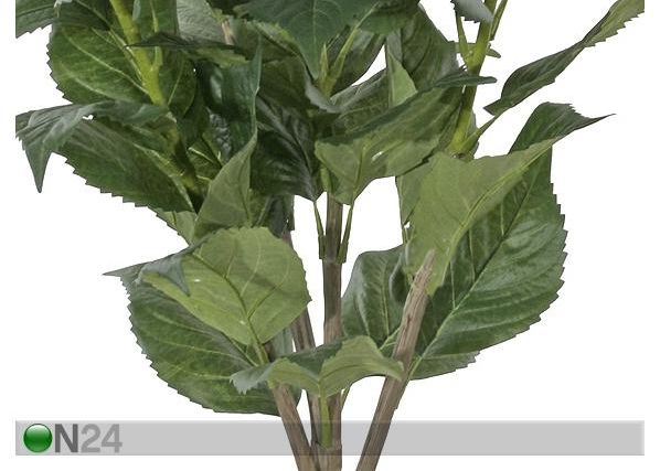 Hortensia 100 cm