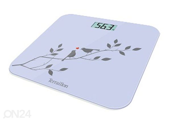 Kaal Terraillon Birdy