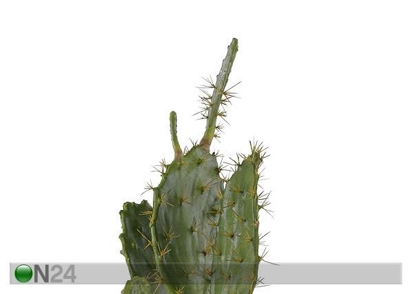 Kaktus 100 cm