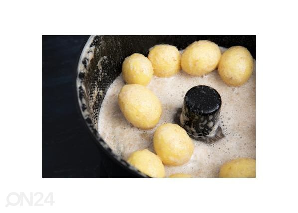 Kartulikoorija Melissa 18220001