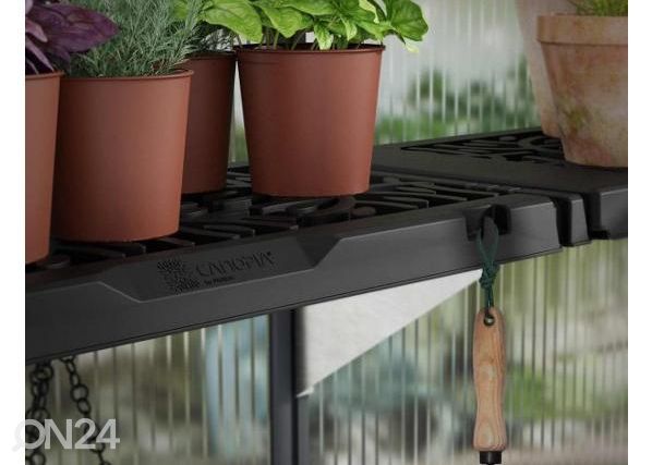 Kasvuhoone riiul Palram kasvuhoonele