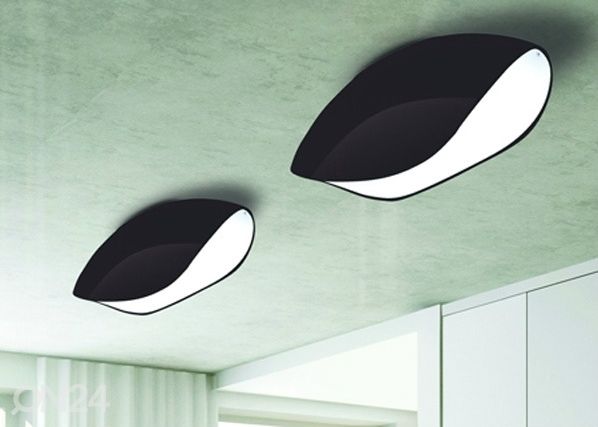 Laelamp Pasion Negro