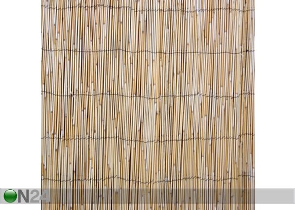 Pillirooaed rullis 2x5 m