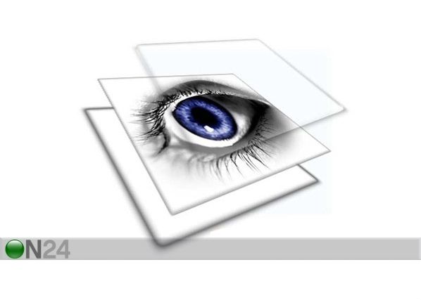 Pilt Beautiful Eyes of a Wild Wolf 90x60 cm