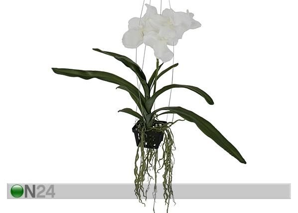 Rippuv Orhidee Vanda 46 cm