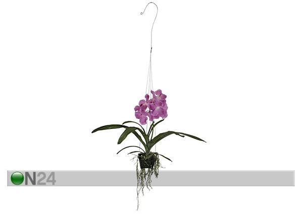 Rippuv Orhidee Vanda 46 cm
