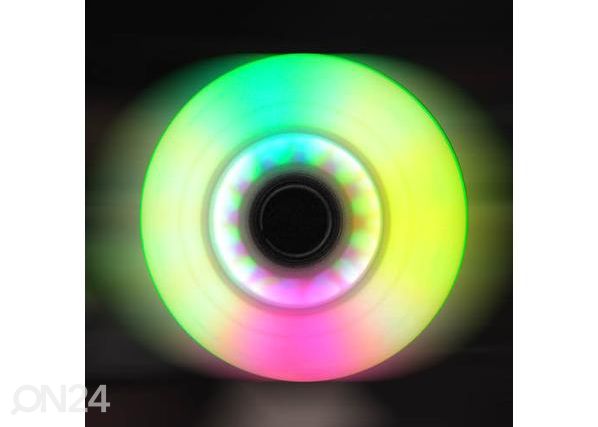 Rulluisu rataste komplekt FLASHING 84x24 85A Tempish