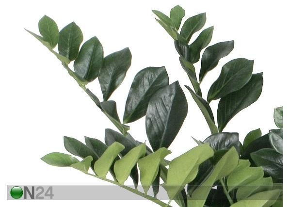 Sulgvõhk 80 cm