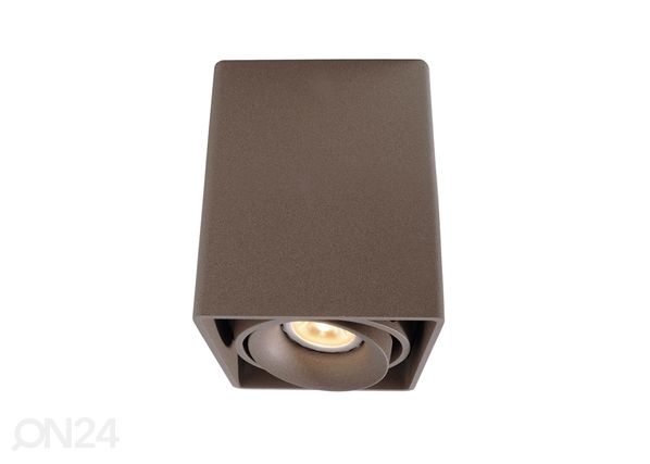 Suunatav laevalgusti Mona