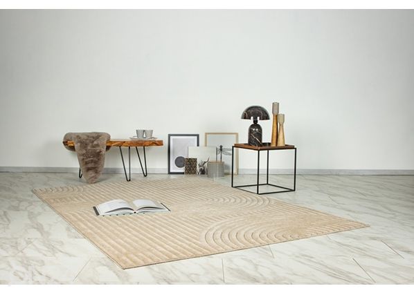 Vaip Viva Beige 200x290 cm