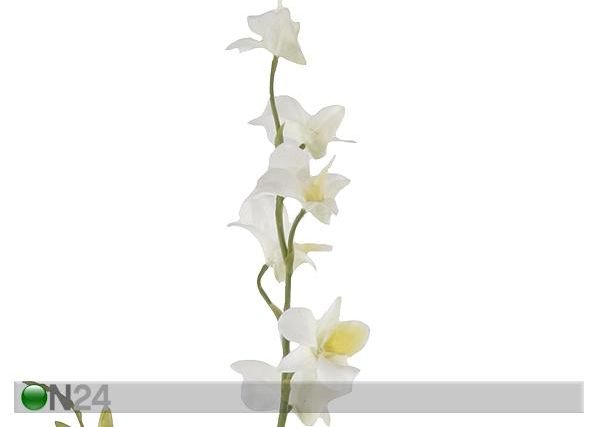 Valge Orhidee dendroobium 110 cm