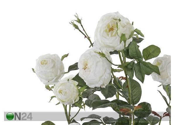 Valge roos 95 cm