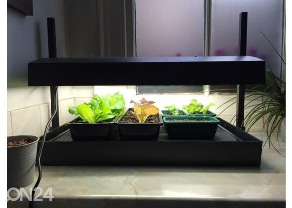 Valgustusega ettekasvatuskast Micro Grow Light Garden 11 W, must