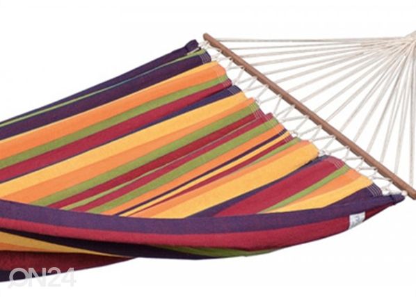 Võrkkiik Brasilia tropical