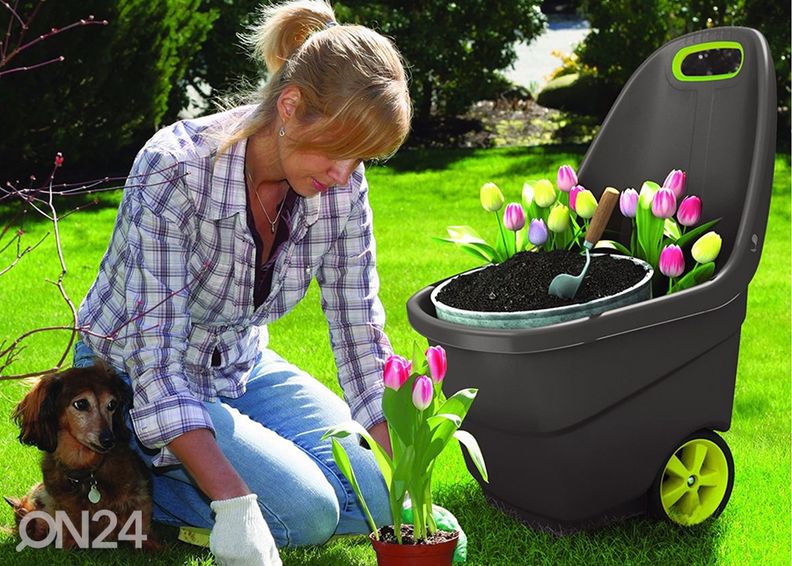 Aiakäru Keter Easy Go XL 62 L, antratsiit suurendatud