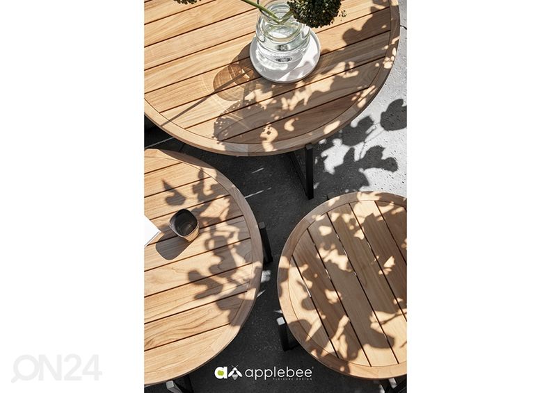 Aialaud Condor Ø 54 cm suurendatud