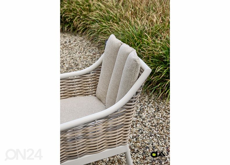 Aiatool Milou suurendatud