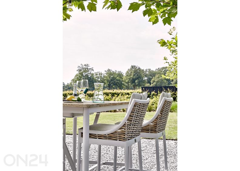 Aiatool Milou suurendatud