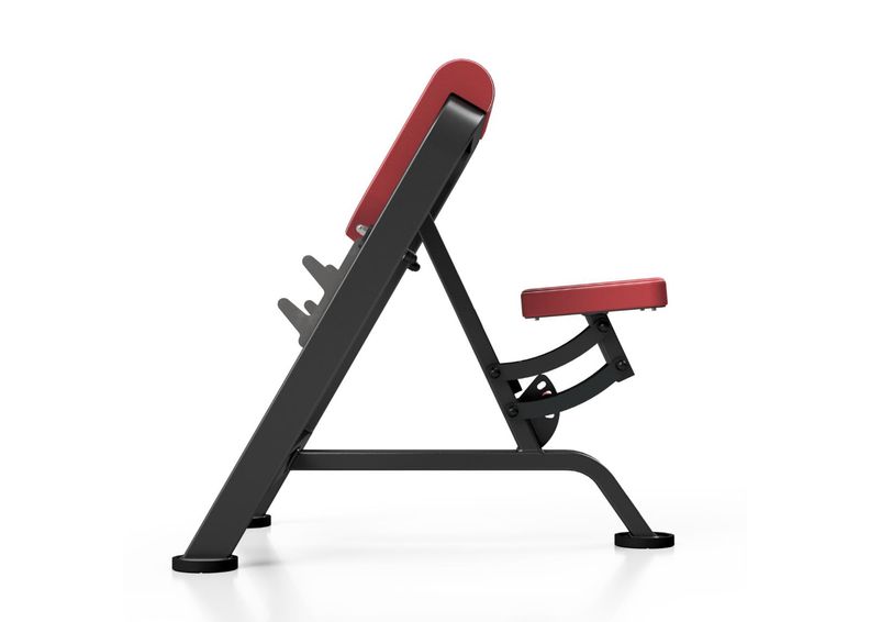 Biitsepsi treeningpink Marbo Sport suurendatud