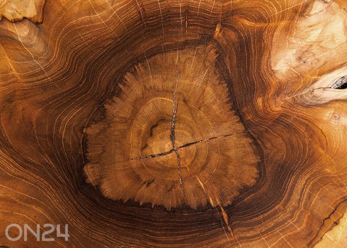 Diivanilaud Root suurendatud