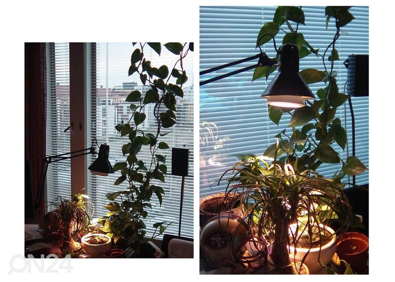 Eglo lauavalgusti Firmo suurendatud