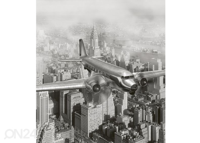 Fliis fototapeet Airplane 225x250 cm suurendatud