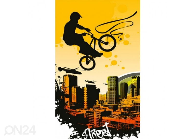 Fliis fototapeet Bicycle 225x250 cm suurendatud