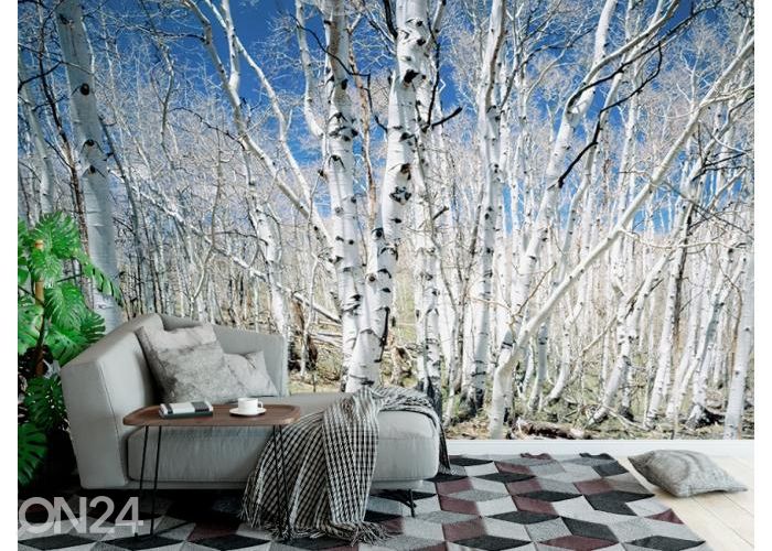 Fliis fototapeet Birches in Utah Dixie National Park 368x254 cm suurendatud