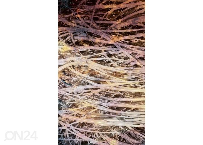 Fliis fototapeet Hay Abstract I 150x250 cm suurendatud