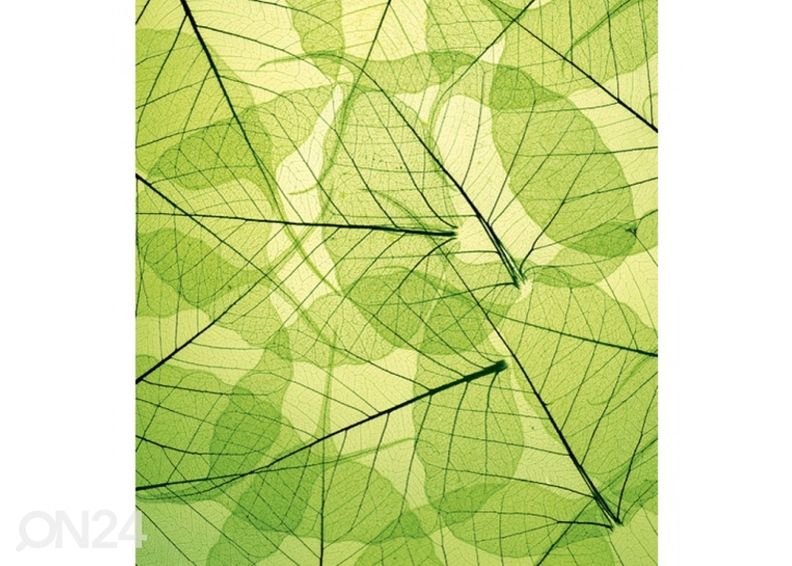 Fliis fototapeet Leaf veins 150x250 cm suurendatud