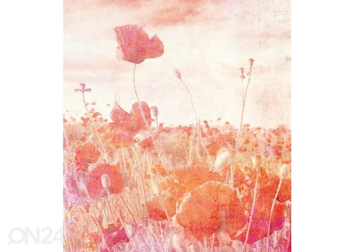 Fliis fototapeet Poppies Abstract 150x250 cm suurendatud