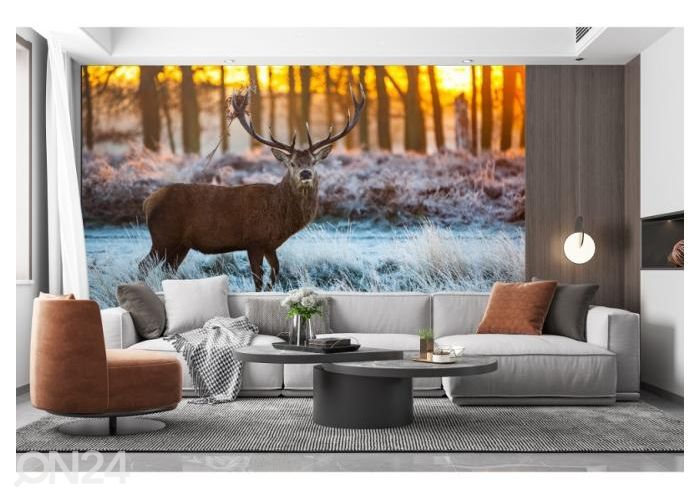 Fliis fototapeet Red Deer in Morning Sun 368x245 cm suurendatud