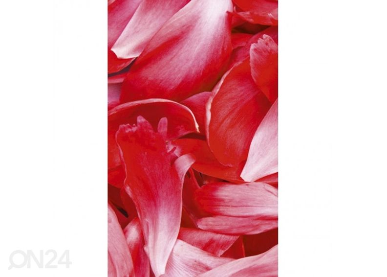 Fliis fototapeet Red petals 150x250 cm suurendatud
