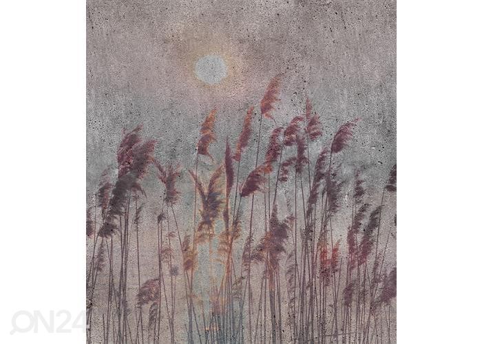 Fliis fototapeet Reed Abstract 150x250 cm suurendatud