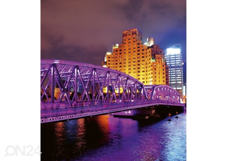 Fliis fototapeet Shanghai 225x250 cm suurendatud