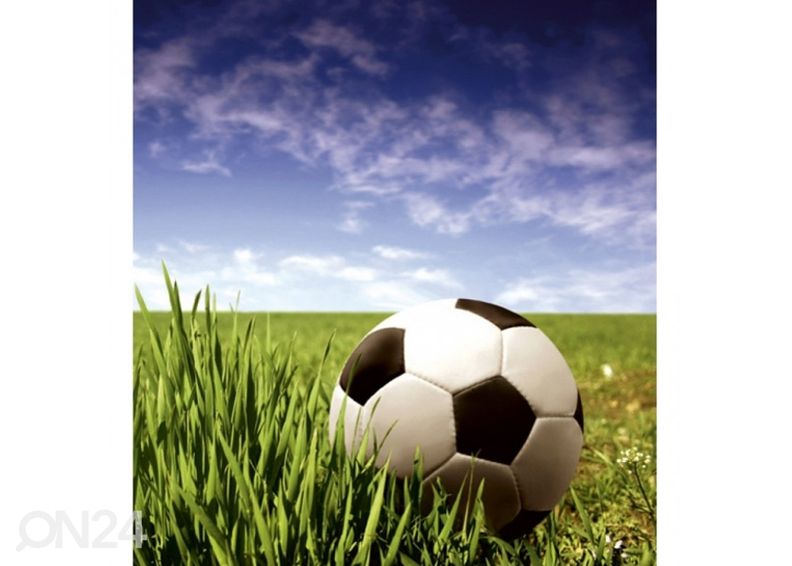 Fliis fototapeet Soccer ball 150x250 cm suurendatud