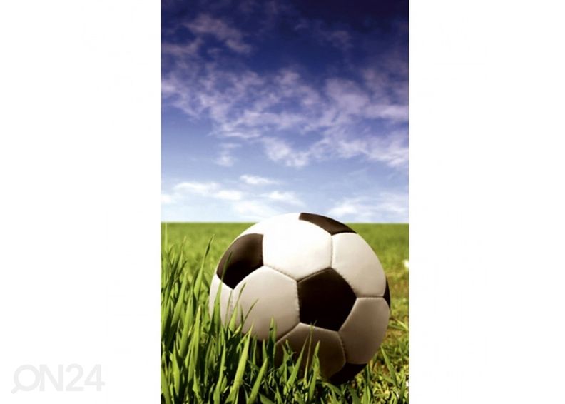 Fliis fototapeet Soccer ball 150x250 cm suurendatud